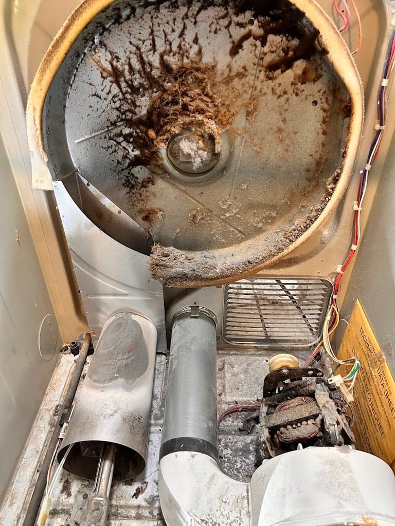 Overhead view of a dirty clothes dryer interior showing lint buildup and internal components