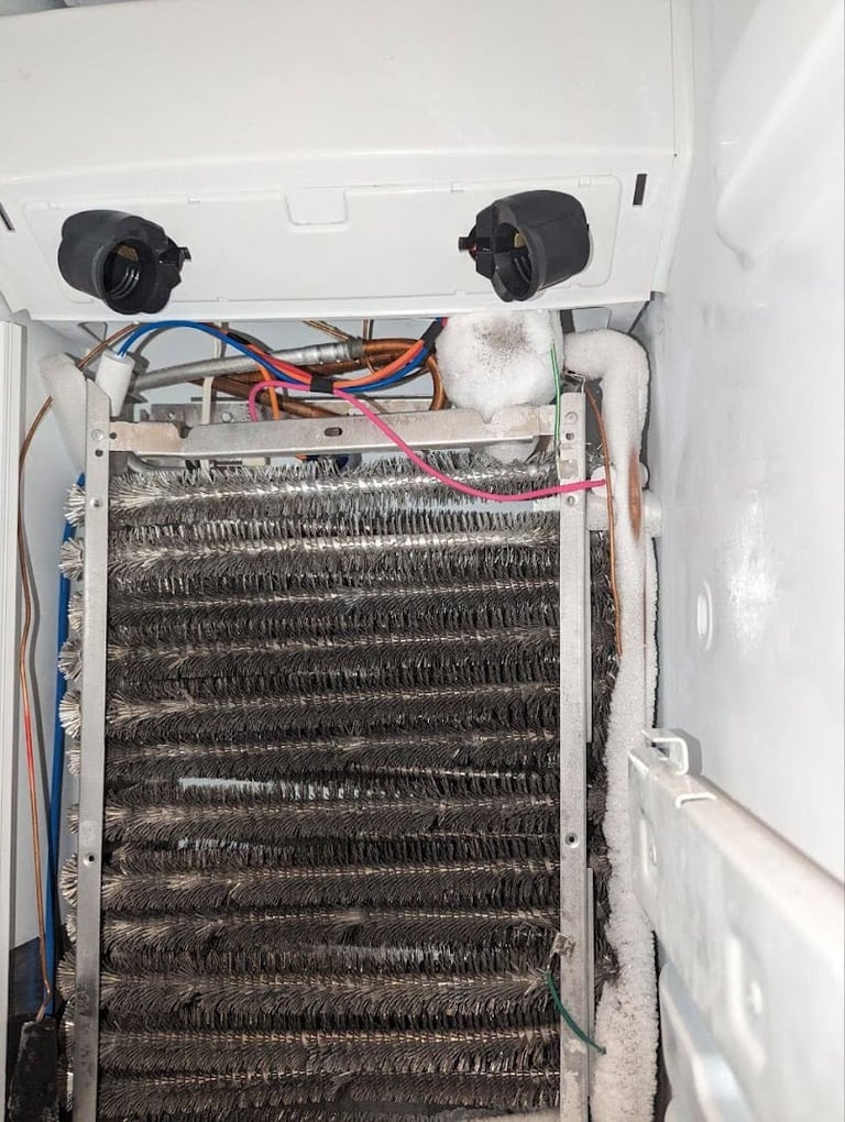 Interior of a refrigerator showing dirty condenser coils with dust buildup and connected wiring needing cleaning